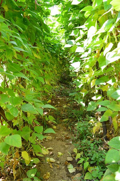 Agriturismo E Turre Serrastretta 外观 照片
