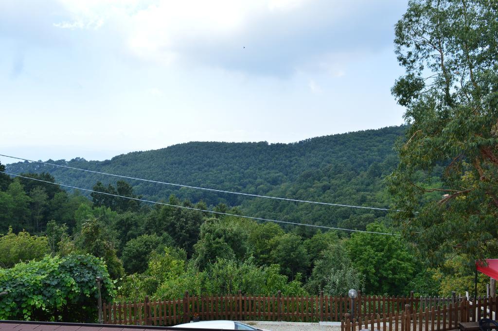 Agriturismo E Turre Serrastretta 外观 照片