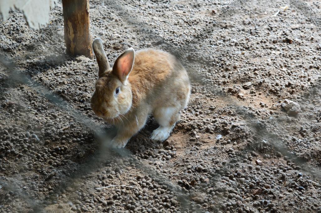 Agriturismo E Turre Serrastretta 外观 照片